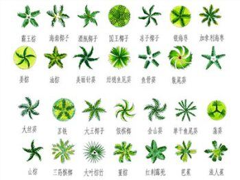 PS彩平图图例植物素材PSD格式