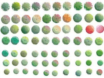 水彩风格高清景观树木平面psd素材