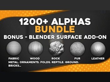 1200+ Alpha黑白深度贴图 1200+ Alphas Bundle for ZBrush Bledner Surface