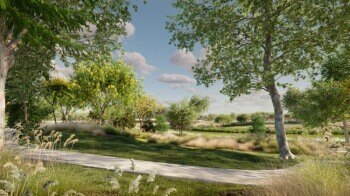 99种街道树木3D模型 Globe Plants – Bundle 65 – Stree trees