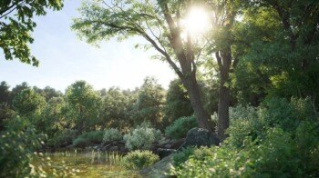 100组植物树木3D模型 Archmodels for Corona vol.1 (3DS MAX格式)